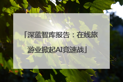 深蓝智库报告：在线旅游业掀起AI竞速战