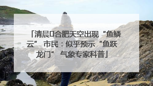 清晨﻿合肥天空出现“鱼鳞云” 市民：似乎预示“鱼跃龙门” 气象专家科普