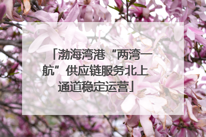 渤海湾港“两湾一航”供应链服务北上通道稳定运营