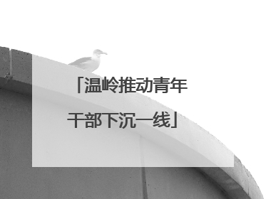 温岭推动青年干部下沉一线