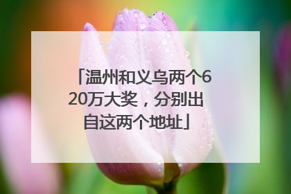 温州和义乌两个620万大奖，分别出自这两个地址