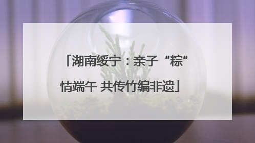 湖南绥宁：亲子“粽”情端午 共传竹编非遗