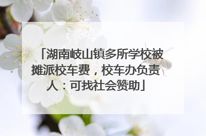 湖南岐山镇多所学校被摊派校车费，校车办负责人：可找社会赞助