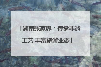湖南张家界：传承非遗工艺 丰富旅游业态