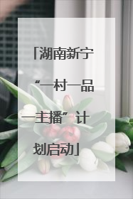 湖南新宁“一村一品一主播”计划启动