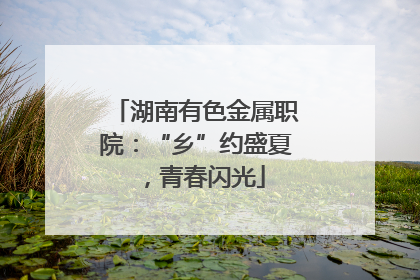 湖南有色金属职院：“乡”约盛夏，青春闪光