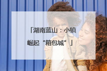 湖南蓝山：小镇崛起“箱包城”