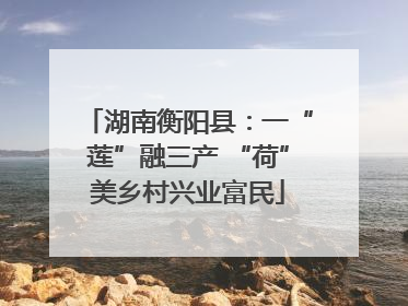 湖南衡阳县：一“莲”融三产 “荷”美乡村兴业富民