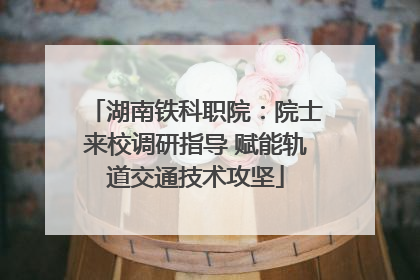 湖南铁科职院：院士来校调研指导 赋能轨道交通技术攻坚