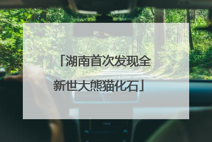 湖南首次发现全新世大熊猫化石
