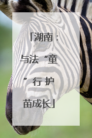 湖南：与法“童”行 护苗成长