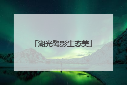 湖光鹭影生态美