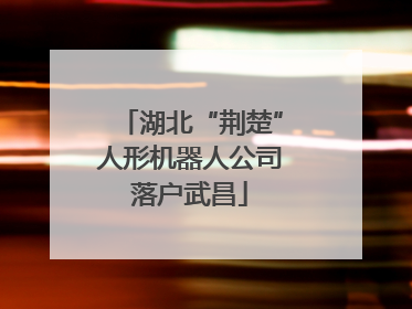 湖北“荆楚”人形机器人公司落户武昌