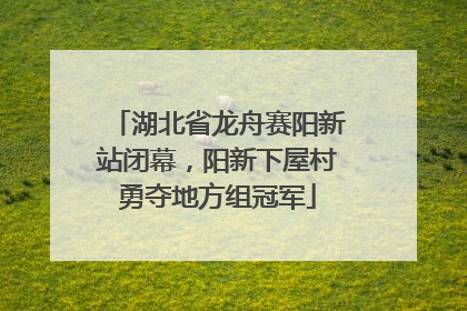 湖北省龙舟赛阳新站闭幕，阳新下屋村勇夺地方组冠军