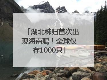 湖北秭归首次出现海南鳽！全球仅存1000只