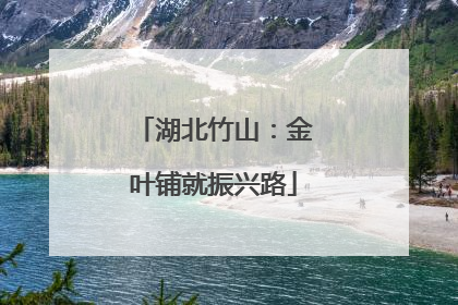 湖北竹山：金叶铺就振兴路