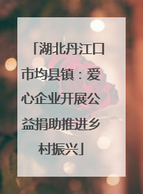 湖北丹江口市均县镇：爱心企业开展公益捐助推进乡村振兴