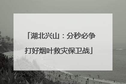 湖北兴山：分秒必争 打好烟叶救灾保卫战