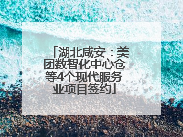 湖北咸安：美团数智化中心仓等4个现代服务业项目签约