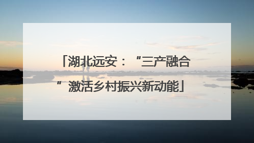 湖北远安：“三产融合”激活乡村振兴新动能