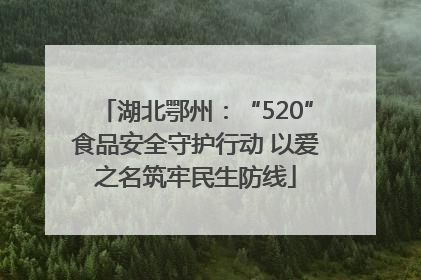 湖北鄂州：“520”食品安全守护行动 以爱之名筑牢民生防线