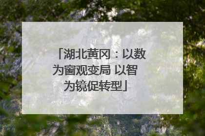 湖北黄冈：以数为窗观变局 以智为镜促转型