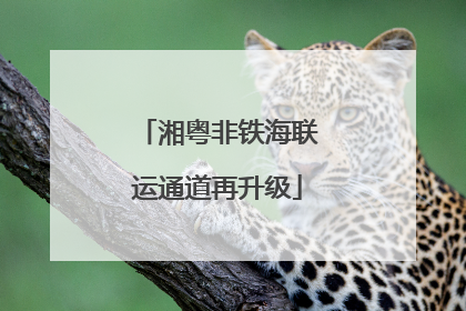 湘粤非铁海联运通道再升级