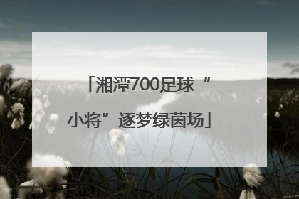 湘潭700足球“小将”逐梦绿茵场