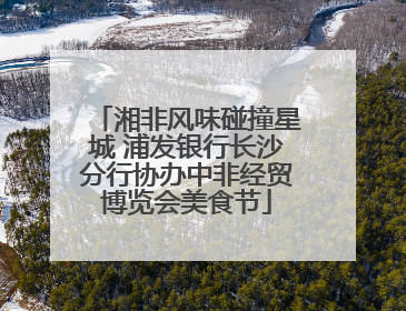 湘非风味碰撞星城 浦发银行长沙分行协办中非经贸博览会美食节