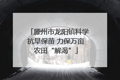 滕州市龙阳镇科学抗旱保苗 力保万亩农田“解渴”