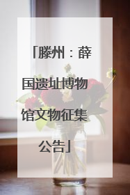 滕州：薛国遗址博物馆文物征集公告