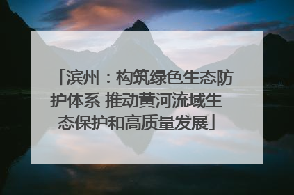 滨州：构筑绿色生态防护体系 推动黄河流域生态保护和高质量发展