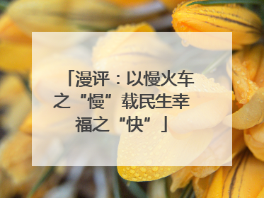 漫评：以慢火车之“慢”载民生幸福之“快”