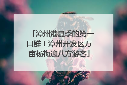 漳州港夏季的第一口鲜！漳州开发区万亩杨梅迎八方游客