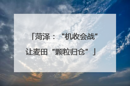 菏泽：“机收会战”让麦田“颗粒归仓”