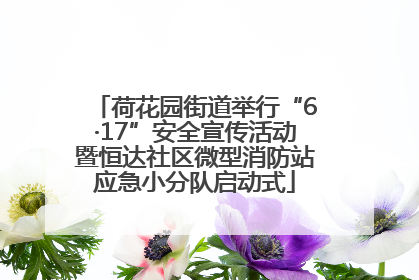 荷花园街道举行“6·17”安全宣传活动暨恒达社区微型消防站应急小分队启动式