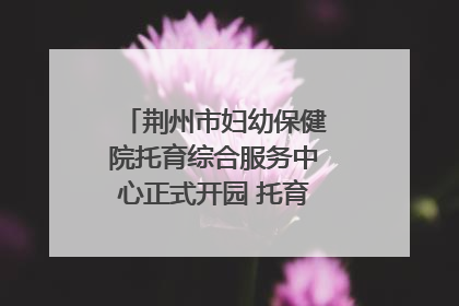 荆州市妇幼保健院托育综合服务中心正式开园 托育宣传月同步启动