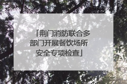 荆门消防联合多部门开展餐饮场所安全专项检查