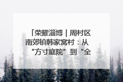 荣耀淄博｜周村区南郊镇韩家窝村：从“方寸庭院”到“全域文明”，乡村振兴的“美学革命”