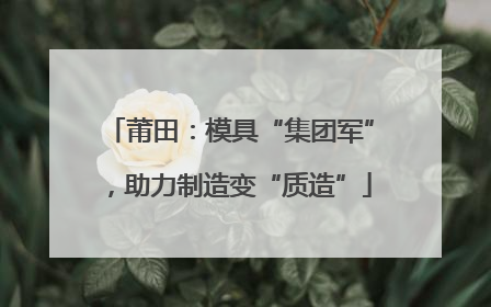 莆田：模具“集团军”，助力制造变“质造”