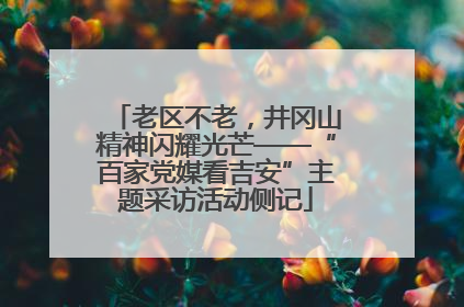 老区不老，井冈山精神闪耀光芒——“百家党媒看吉安”主题采访活动侧记