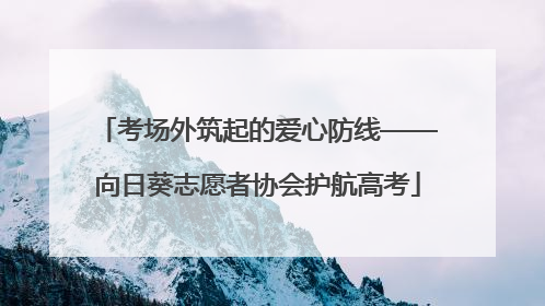 考场外筑起的爱心防线——向日葵志愿者协会护航高考