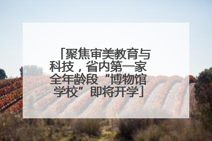 聚焦审美教育与科技，省内第一家全年龄段“博物馆学校”即将开学