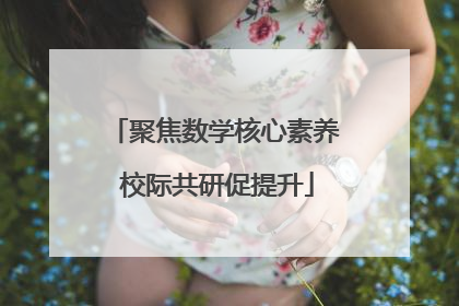 聚焦数学核心素养 校际共研促提升