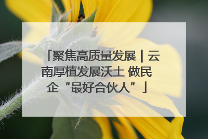 聚焦高质量发展｜云南厚植发展沃土 做民企“最好合伙人”