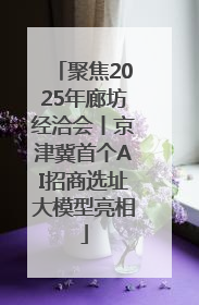 聚焦2025年廊坊经洽会丨京津冀首个AI招商选址大模型亮相