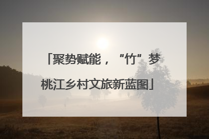 聚势赋能，“竹”梦桃江乡村文旅新蓝图