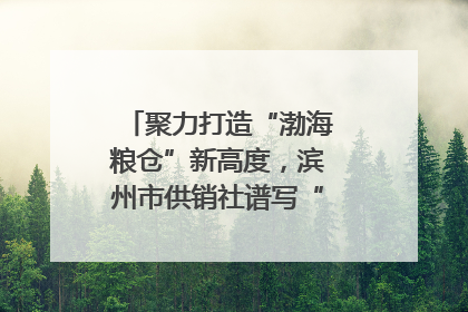 聚力打造“渤海粮仓”新高度，滨州市供销社谱写“三夏”丰收乐章