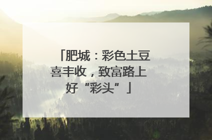 肥城：彩色土豆喜丰收，致富路上好“彩头”