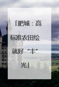 肥城：高标准农田绘就好“丰”光